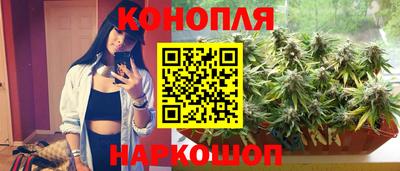 Альфа ПВП Сланцы